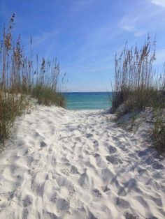 the path to the beach is lined with grass and sea oats in the sand