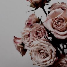 a bunch of pink roses sitting on top of a table