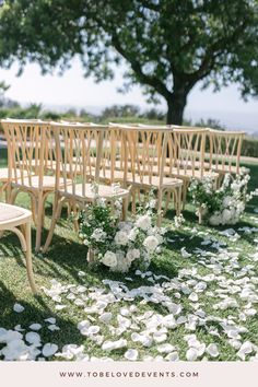 an outdoor ceremony setup with white flowers and petals on the grass, in front of a tree