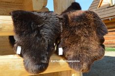 the back end of a bear's head hanging on a wooden bench with two tags attached to it