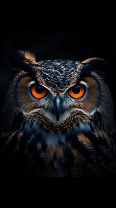 an owl with orange eyes is shown in the dark