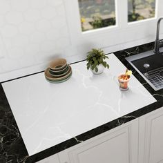 a kitchen counter with a sink, dishwasher and potted plant on it