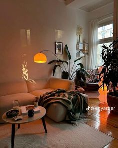 a living room filled with lots of furniture and plants on the floor next to a window