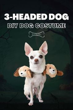 a dog with two stuffed dogs on it's back and the title 3 - headed dog diy dog costume