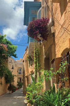 an alley way with potted plants and flowers hanging from the side of buildings on both sides