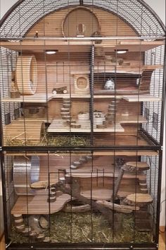 a caged animal house filled with lots of animals