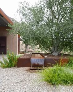 a water feature in the middle of a gravel area next to a tree and shrubbery