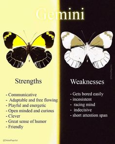 two butterflies sitting next to each other on top of a yellow and black background with the words germini