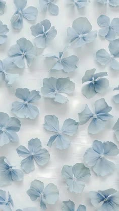 blue flowers are floating in the air on a white surface with water droplets and bubbles