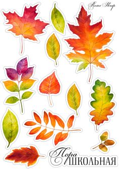 the autumn leaves stickers are arranged in different colors and shapes, including red, green,