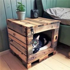 a cat laying in a wooden crate on the floor next to a bed and plant