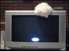 a white cat sitting on top of a television set with its head stuck in the screen