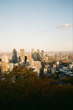 the city is full of tall buildings and trees in the foreground, as seen from above