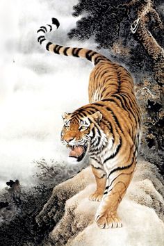 a tiger walking across a snow covered ground next to a tree with chinese writing on it