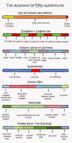 the anatomy of an animal's body and how it is used to describe its functions