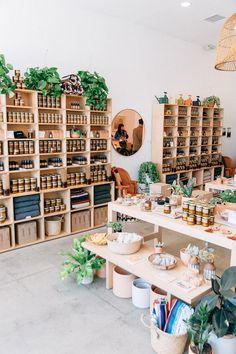 a room filled with lots of plants and shelves full of jars on top of them