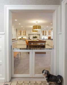 a dog is standing in front of an open door that leads to the kitchen and dining room