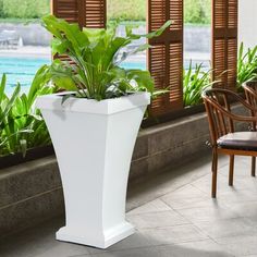 a large planter sitting on the side of a window sill next to a pool