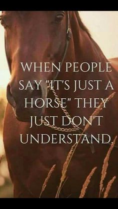 a horse that is standing in the grass with a quote on it saying, when people say