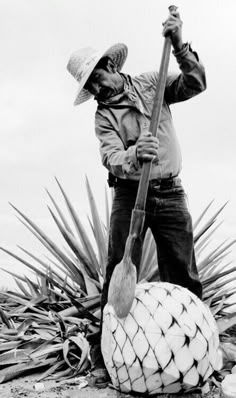 black and white photograph of a man holding a paddle next to a large object on the ground