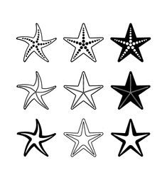 six starfishs are shown in black and white