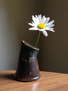 a white flower in a black vase on a table