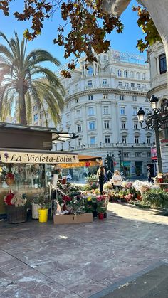 an open air market with lots of plants and flowers on the sidewalk in front of a large white building