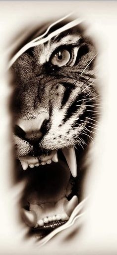 a black and white photo of a tiger's face with it's mouth open