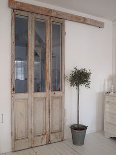 a potted plant sitting in front of a wooden door with glass panels on it