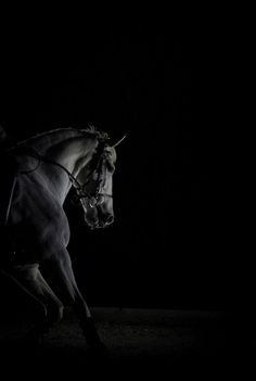 a person riding on the back of a white horse in the dark with it's head down