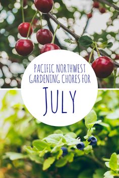 the words pacific northwest gardening chores for july on top of an image of berries and leaves