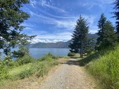 there is a dirt road that leads to the water and trees on both sides of it