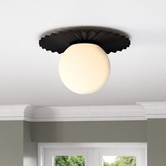 the ceiling light is on in this room