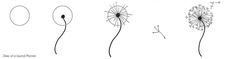 four dandelions blowing in the wind on a white background with words written below