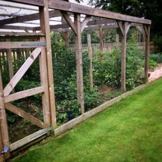 a garden area with green grass and wooden fenced in areas that have plants growing on them