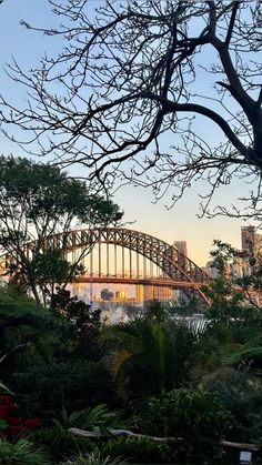 the sydney harbour bridge is seen through some trees and bushes in front of other buildings