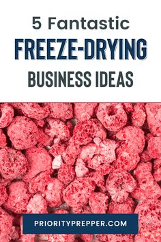 freeze - drying business ideas that are easy to use