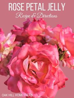 pink roses with the words rose petal jelly recipe and directions