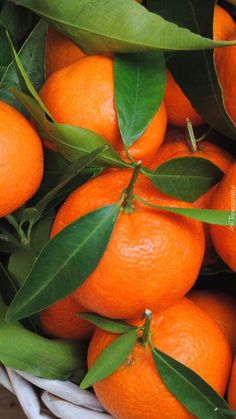 a basket full of oranges with green leaves