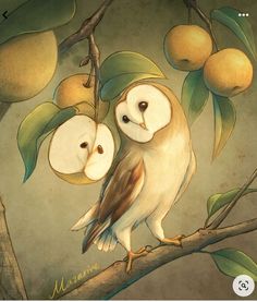 an owl sitting on top of a tree branch with two apples hanging from it's branches