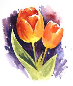 two orange tulips with green leaves painted in watercolor