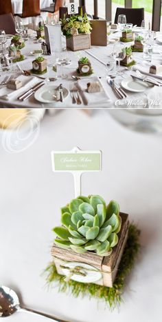 the table is set with succulents and place cards