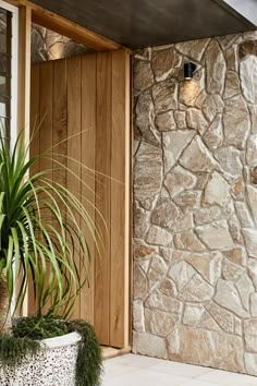 a potted plant sitting next to a wooden door