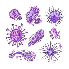 an image of different types of purple and pink microbesks on white paper with blue ink