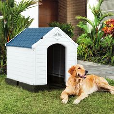 a dog laying in the grass next to a small white house with a blue roof