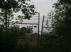 an image of a fenced in area that looks like it has been taken over