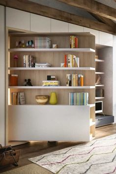 a living room filled with lots of furniture and bookshelves on top of wooden shelves