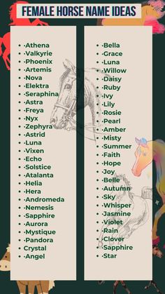 the names and numbers of horses for each horse