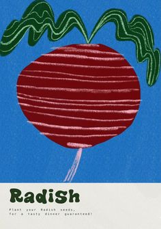 an advertisement for radish is shown on a blue background