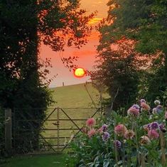 the sun is setting over a field with flowers and trees in front of an open gate